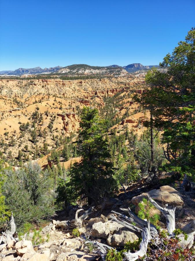 Canyons Of Escalante Rv Park Exterior photo